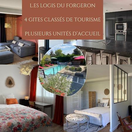 Villa Au bord de la piscine au sud d'Angers à Saint-Jean-des-Mauvrets Extérieur photo